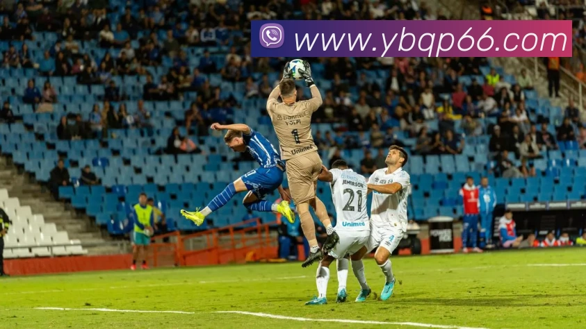 奖项2